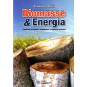 Biomasse & Energia