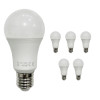 Set 5 lampade bulbo a LED 9W 12V 24V E27 DC Luce Naturale 4000K